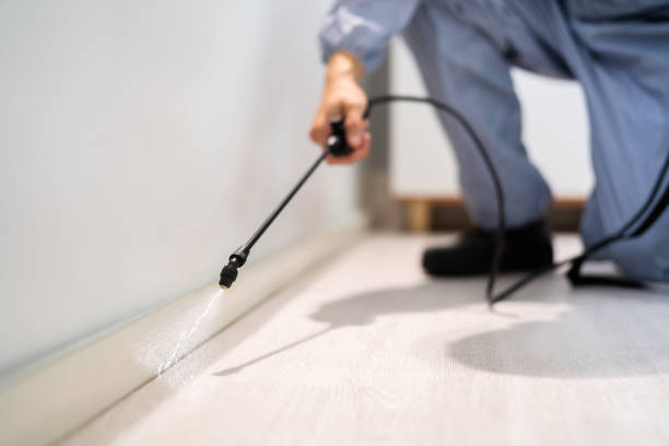 Licensed Termite Control service in Eaton, IN - Nex Pest Control