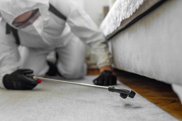 Professional Termite Control technician working in Eaton, IN