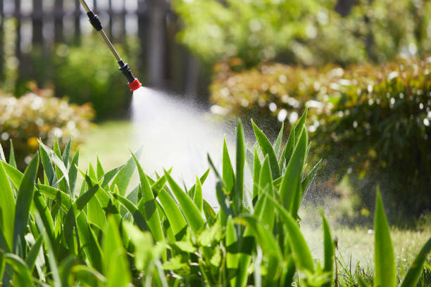 24/7 Emergency Termite Control experts in Eaton, IN